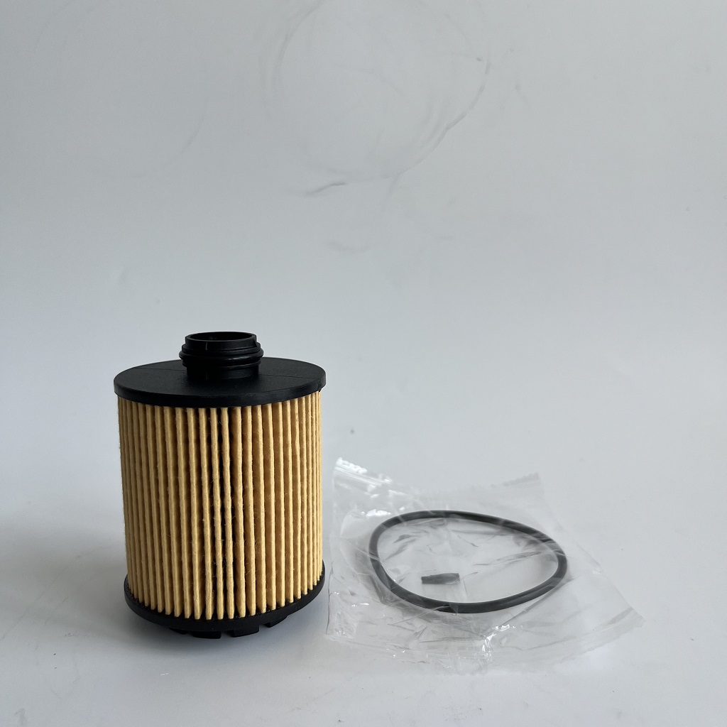 HU7043Z 1612565980 oljefilter för petteot